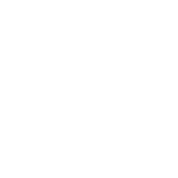 stackoverflow-icon icon